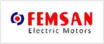 Femsan