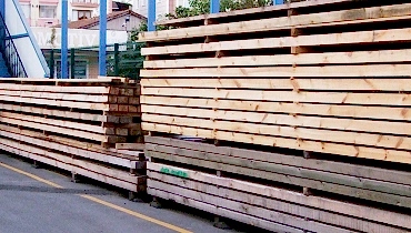 ÇAM & KÖKNAR KALAS